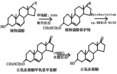 微生物發(fā)酵法生產(chǎn) DHEA 反應(yīng)流程圖